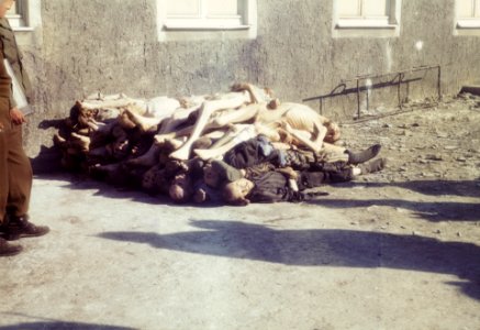 Buchenwald Corpses 60626