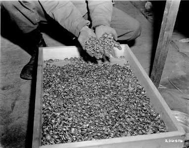 Buchenwald Property 80623