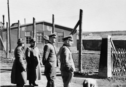 Buchenwald Hinzert SS 34561