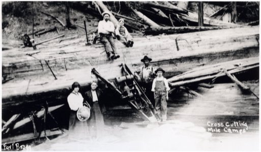 Bucking logs 2011-1501