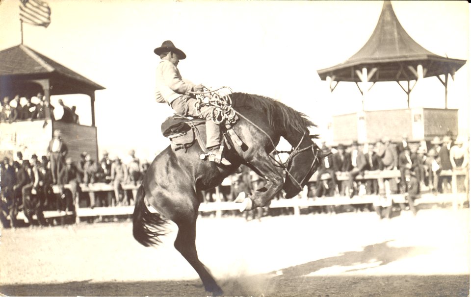 Bucking horse LCCN2008680523