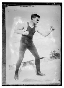 Bud Anderson LCCN2014695092