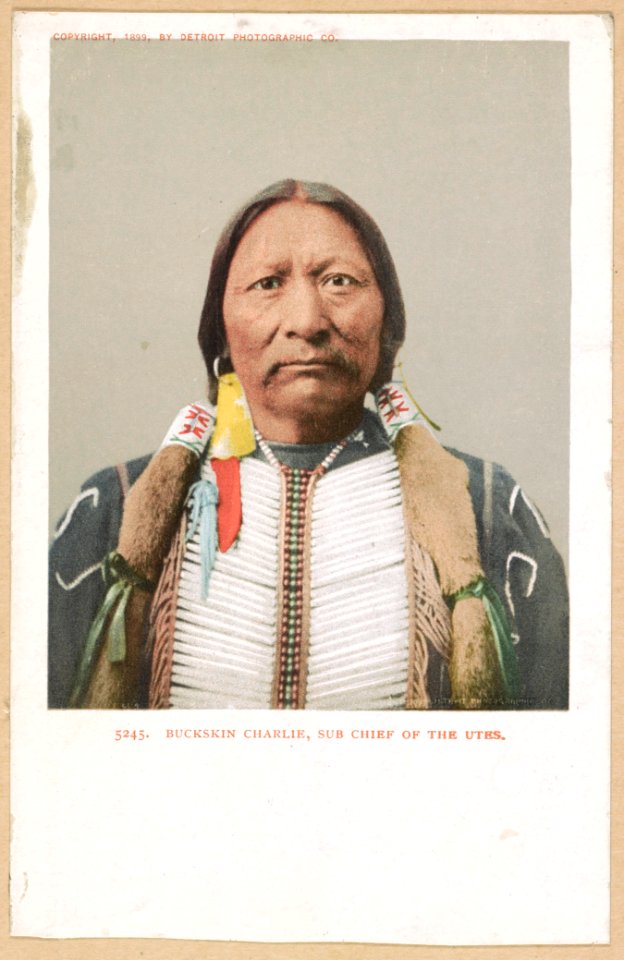 Buckskin Charlie, sub chief of the Utes LCCN2016653232