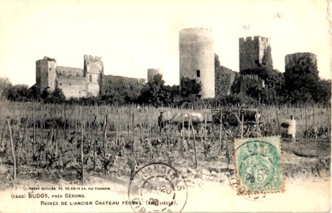 Budos - ruines-de-l'ancien-chateau-feodal 9