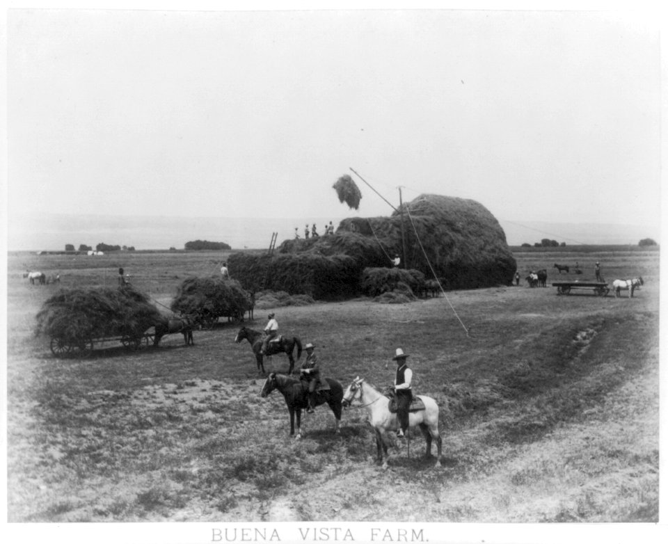 Buena Vista Farm LCCN98503901
