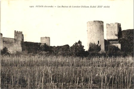 Budos - ruines-de-l'ancien-chateau-feodal 4