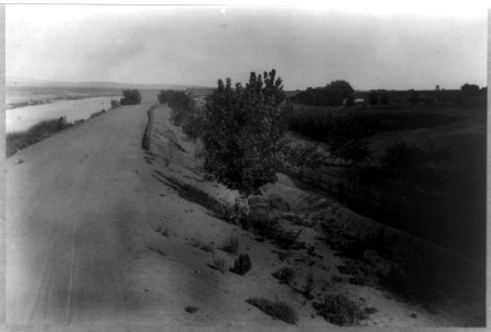 Buena Vista Farm, Kern County, California LCCN2006679269