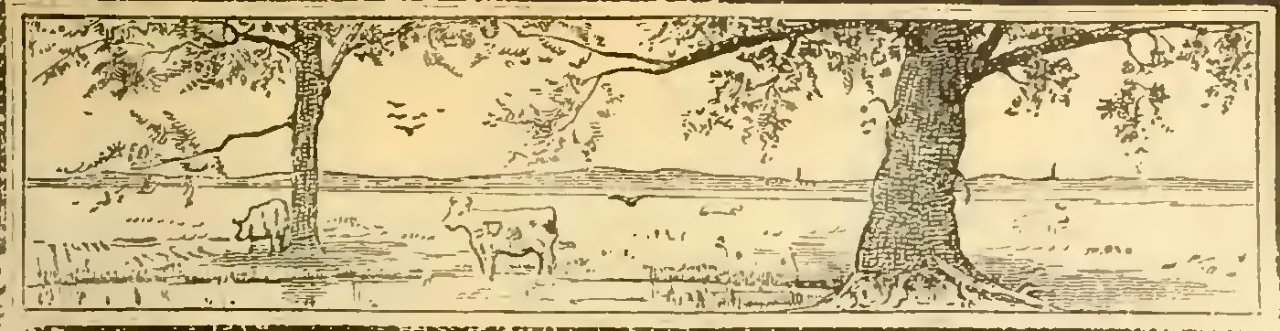 Buies - Le Saguenay et le bassin du Lac St-Jean, 1896 (page 141 crop)