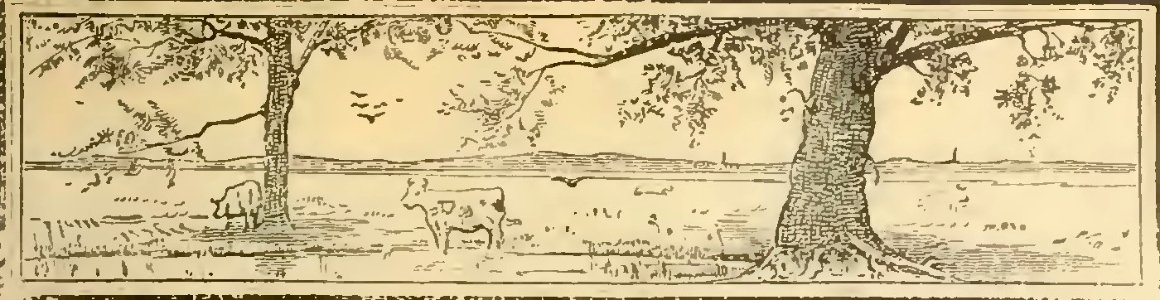 Buies - Le Saguenay et le bassin du Lac St-Jean, 1896 (page 141 crop)