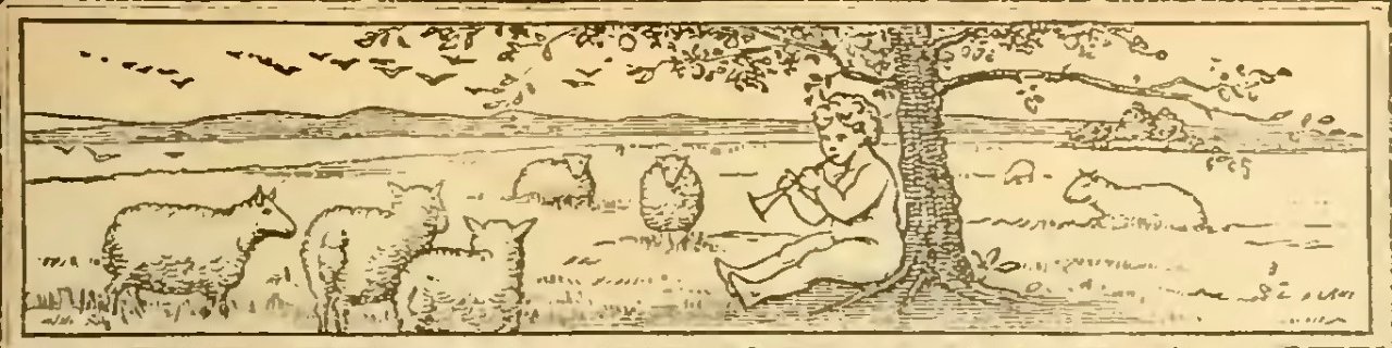 Buies - Le Saguenay et le bassin du Lac St-Jean, 1896 (page 195 crop)