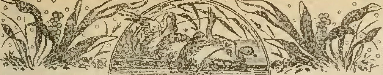 Buies - Le Saguenay et le bassin du Lac St-Jean, 1896 (page 235 crop)