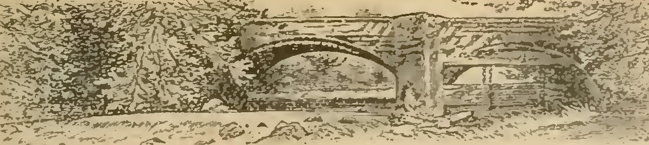 Buies - Le Saguenay et le bassin du Lac St-Jean, 1896 (page 417 crop)