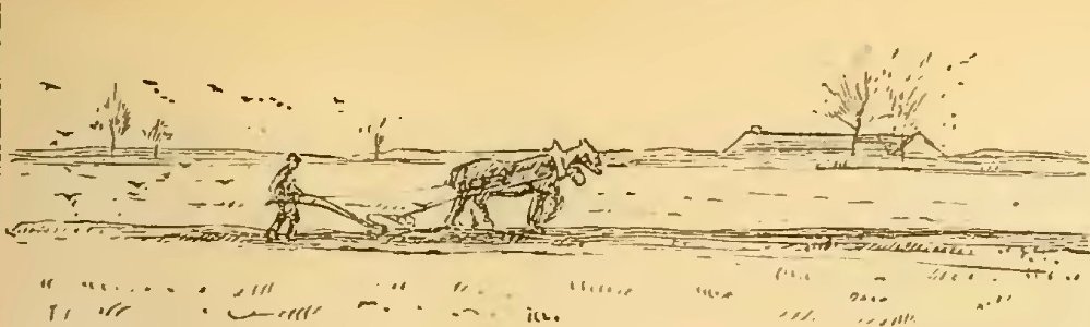 Buies - Le Saguenay et le bassin du Lac St-Jean, 1896 (page 211 crop)