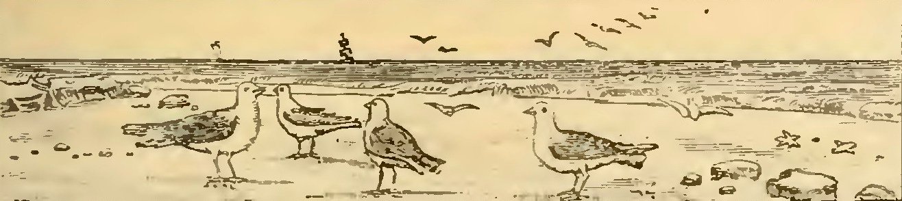 Buies - Le Saguenay et le bassin du Lac St-Jean, 1896 (page 275 crop)