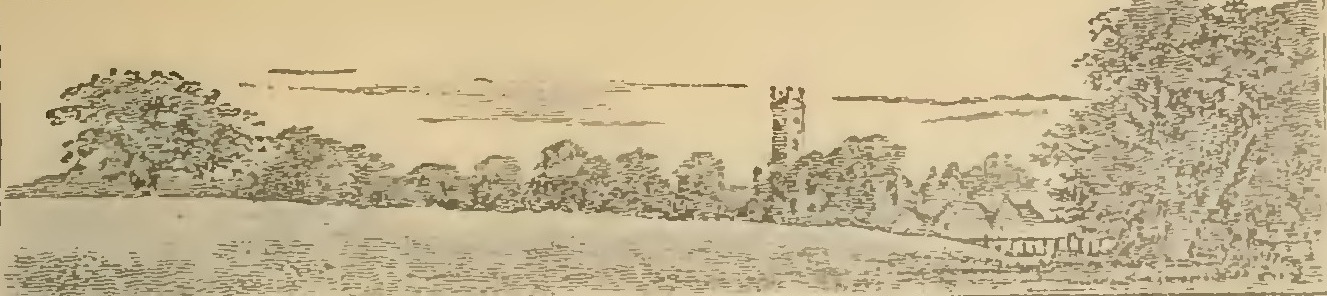 Buies - Le Saguenay et le bassin du Lac St-Jean, 1896 (page 157 crop)