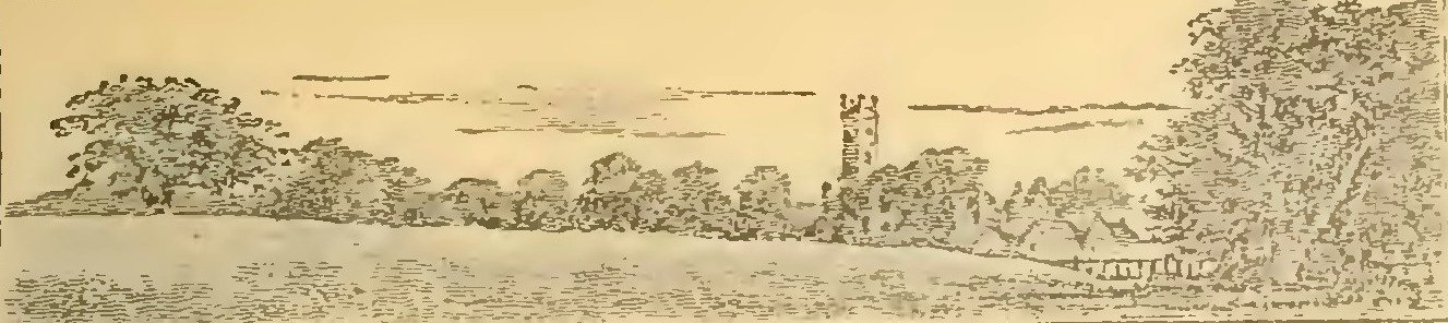 Buies - Le Saguenay et le bassin du Lac St-Jean, 1896 (page 157 crop)