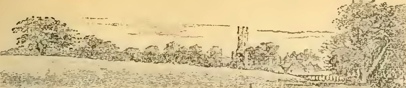 Buies - Le Saguenay et le bassin du Lac St-Jean, 1896 (page 253 crop)