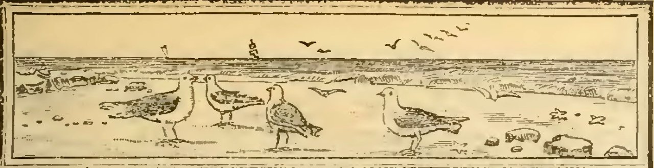 Buies - Le Saguenay et le bassin du Lac St-Jean, 1896 (page 93 crop)