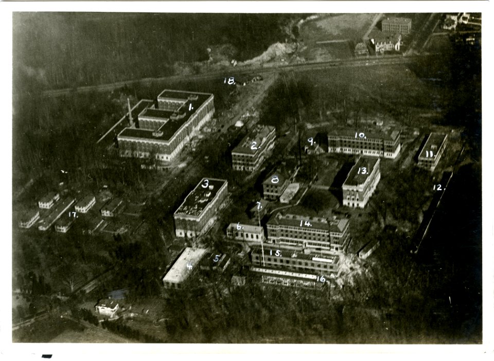 BuildingonOldCampusAerialViews 018
