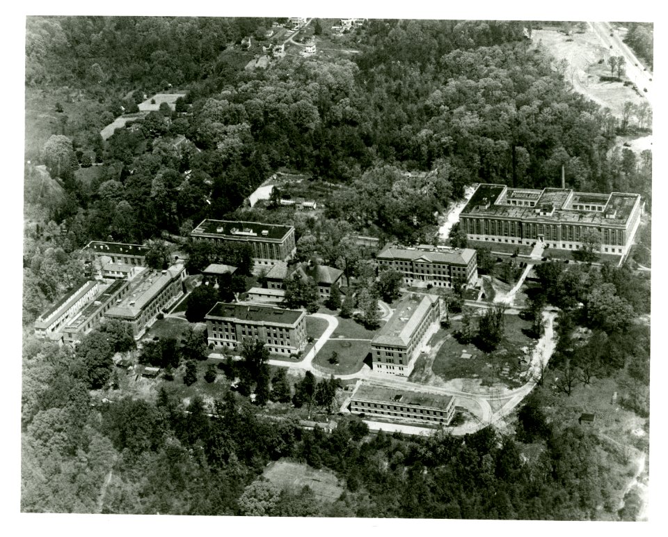 BuildingonOldCampusAerialViews 011