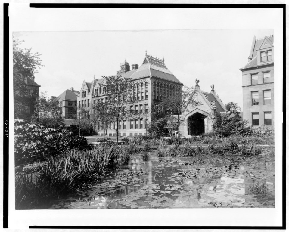Buildings at the University of Chicago, with lily pond in foreground, Chicago, Illinois LCCN97504661
