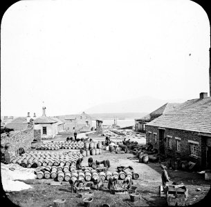 Buildings by sea. Men and women, fish, barrels, pile of salt. Smoking of salting of fish. (26586676091)