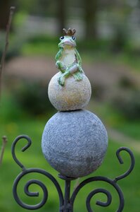 Nature frog thoughtful