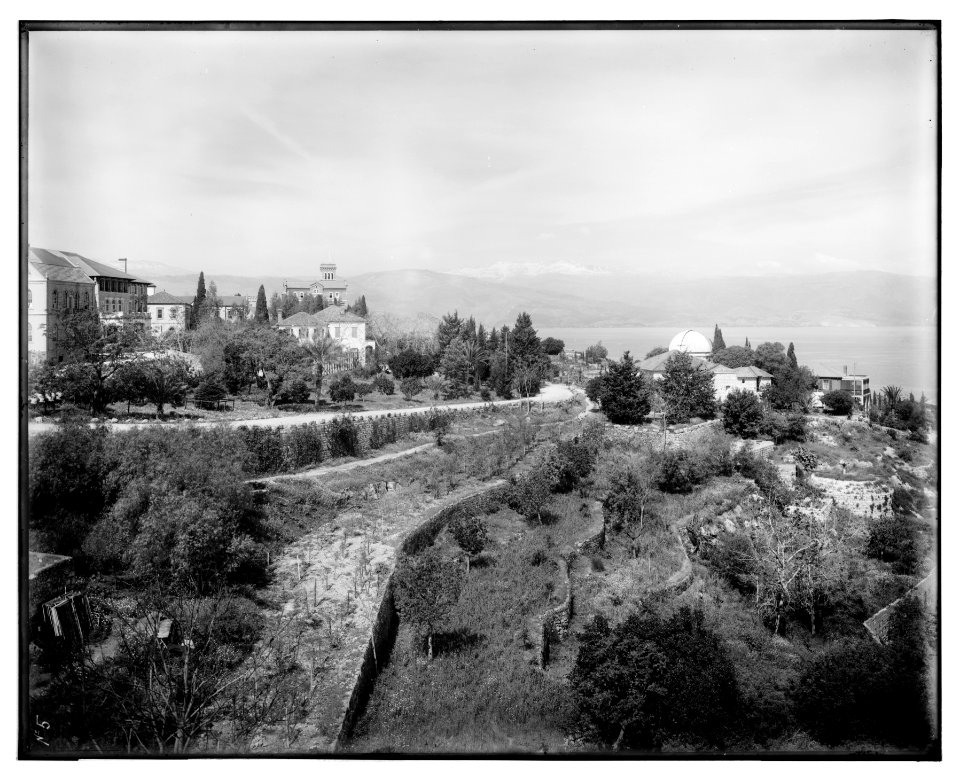 Buildings of American University, Beirut LOC matpc.07116
