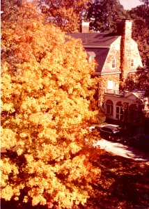 BuildingsonOldCampus 006