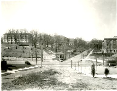 BuildingsonOldCampus 014