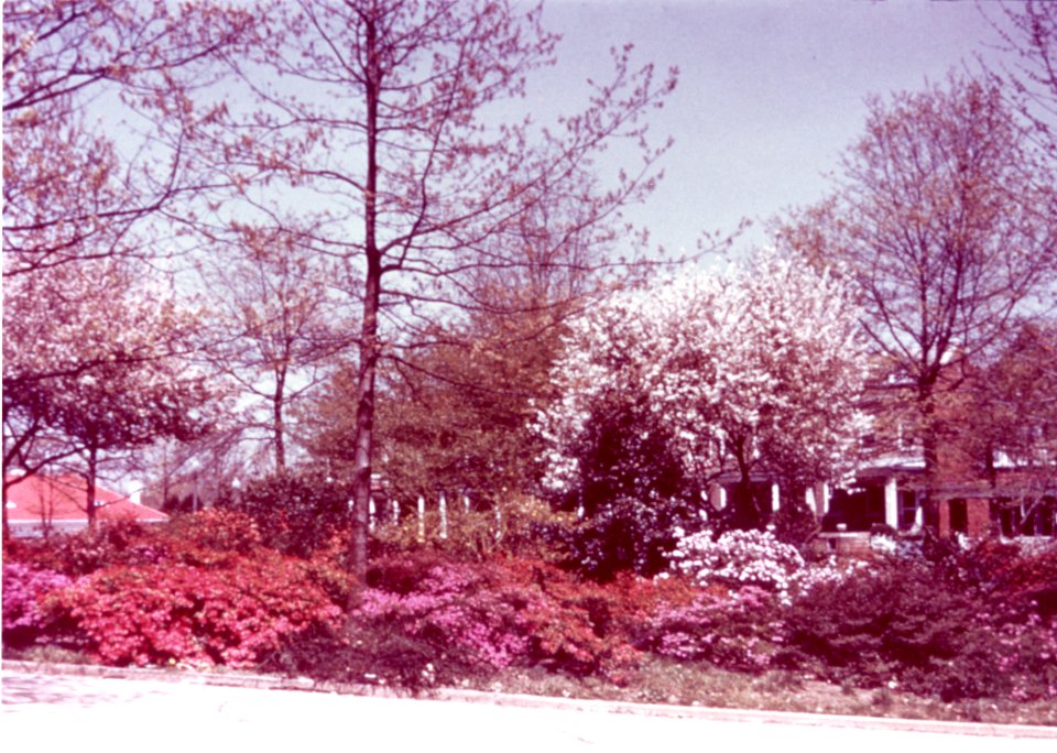 BuildingsonOldCampus 018