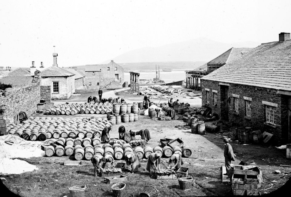 Buildings by sea. Men and women, fish, barrels, pile of salt. Smoking of salting of fish. (26586676091) (cropped)