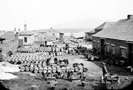 Buildings by sea. Men and women, fish, barrels, pile of salt. Smoking of salting of fish. (26586676091) (cropped)