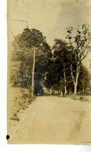 BuildingsonOldCampus 033