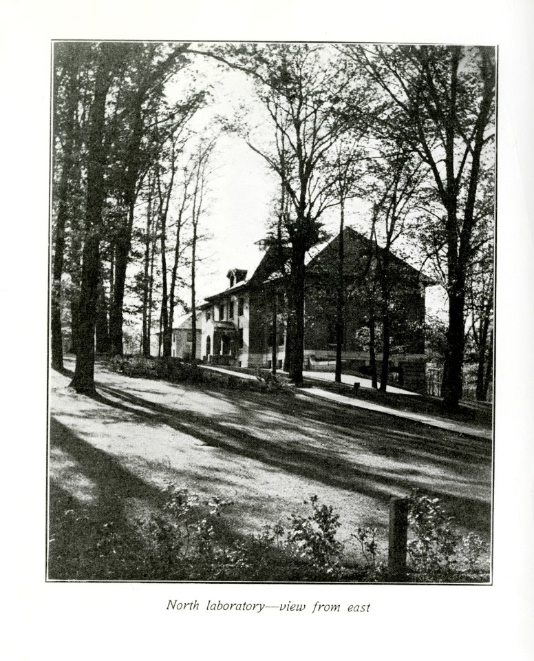 BuildingsonOldCampus 028