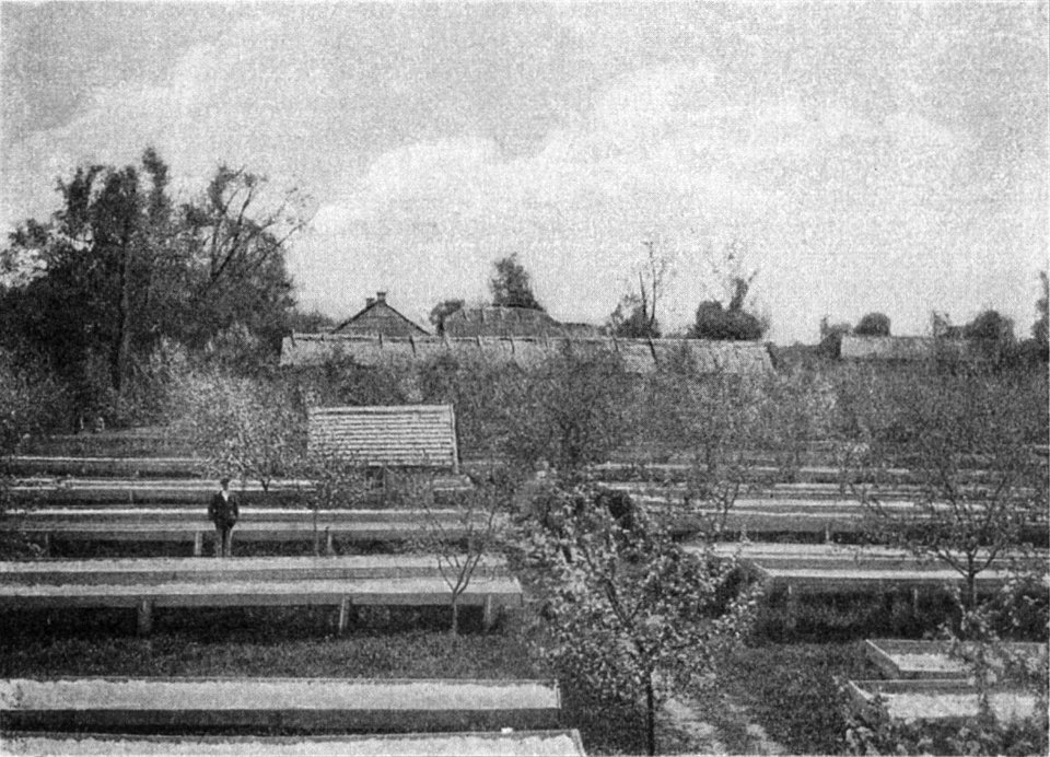 Bujničy. Буйнічы (1905)