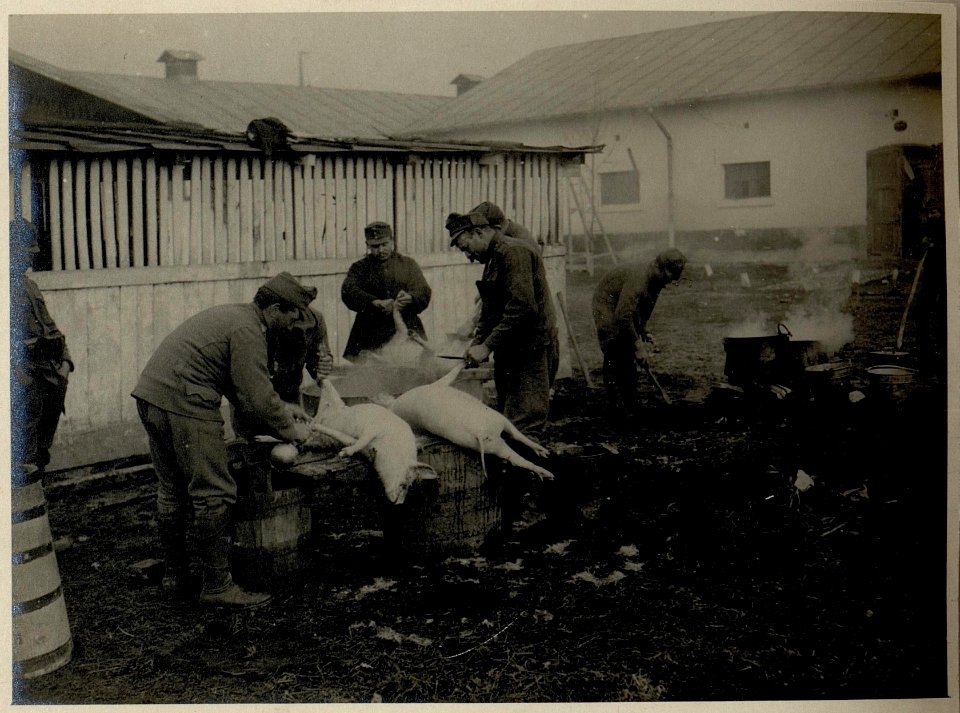 Bukarest, der Weihnachtsbraten wird vorbereitet, aufgenommen am 23.12.1916 (BildID 15544909)