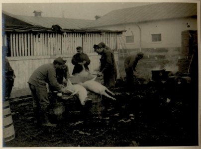 Bukarest, der Weihnachtsbraten wird vorbereitet, aufgenommen am 23.12.1916 (BildID 15544909)