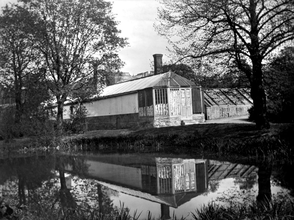Bulevardi 38-40. Kasvihuone - N2179 (hkm.HKMS000005-000001i4)