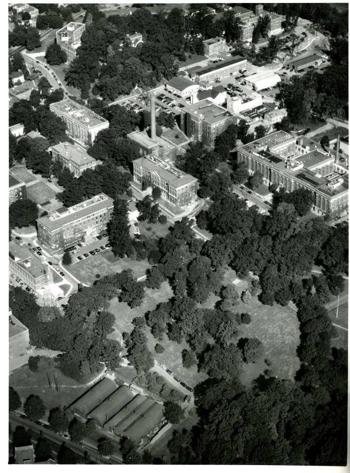 BuildingsonOldCampus 072