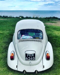 Automotive green grass