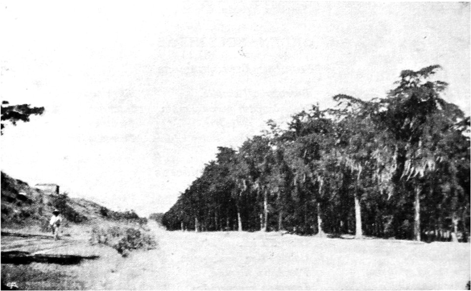Bulevarjustorufinobarrios1926