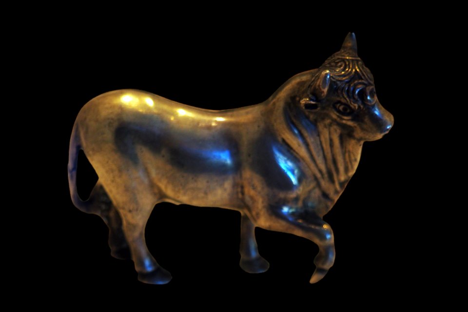 Bull-MAHG 018725-P6130567-black