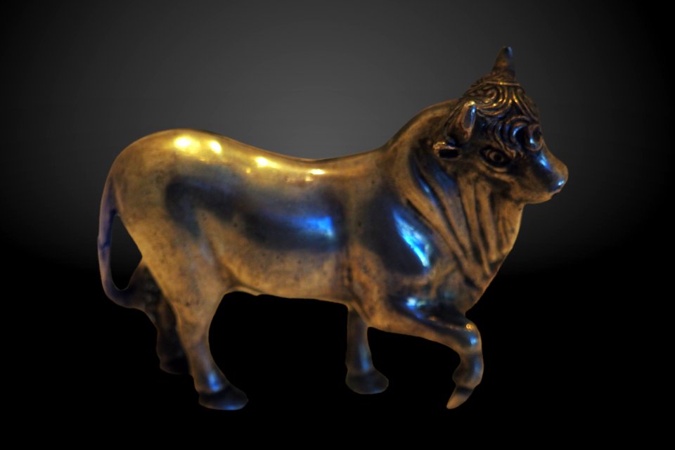 Bull-MAHG 018725-P6130567-gradient
