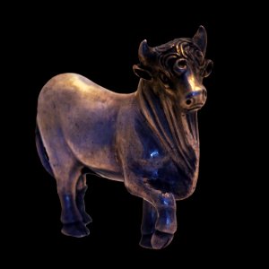 Bull-MAHG 018725-P6130569-black