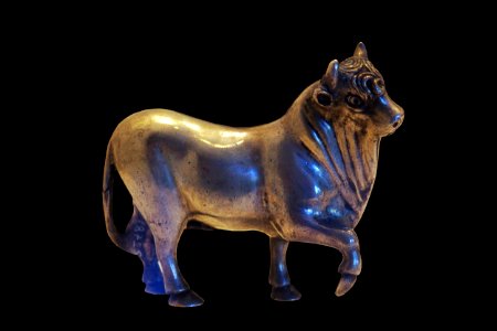Bull-MAHG 018725-P6130568-black
