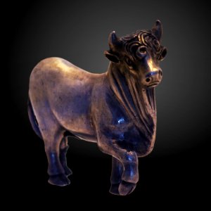 Bull-MAHG 018725-P6130569-gradient