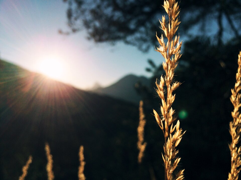 Sunshine mountain silhouette