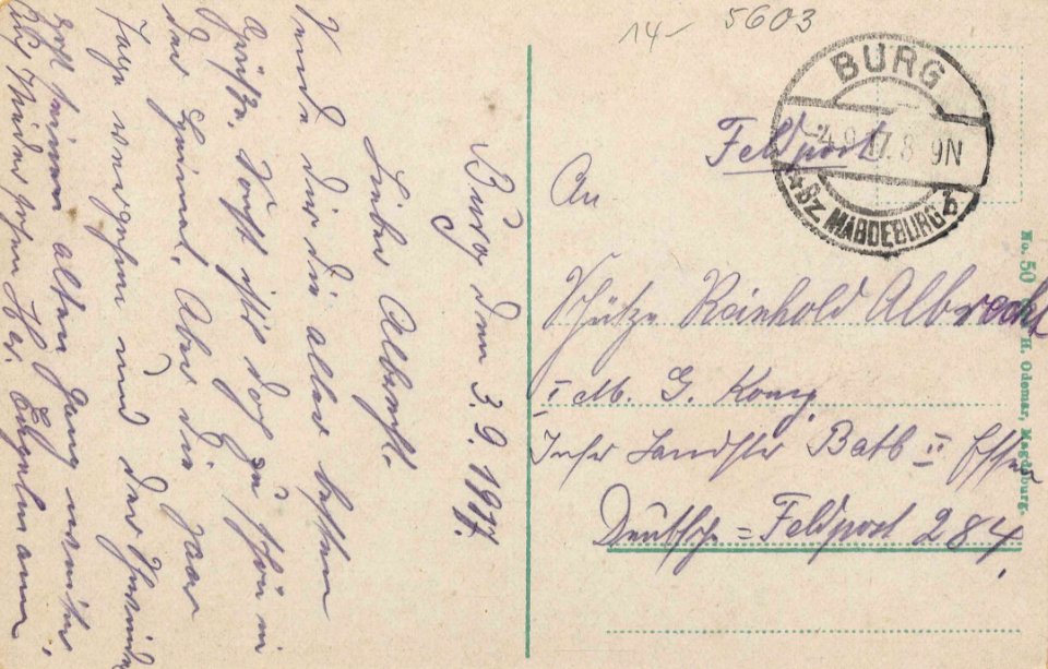 Burg (b. Magdeburg), Sachsen-Anhalt - Stadtansicht mit Burg (back) (Zeno Ansichtskarten)