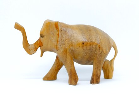 3d 3d model wild
